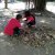 กิจกรรม 5ส โรงเรียน ปีการศึกษา 2560